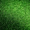 Grass Carpet